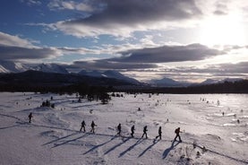 Guided easy snowshoeing with a visit to local café