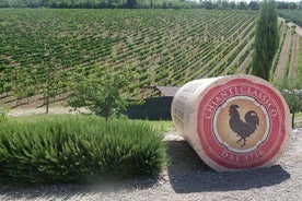 Essence of Chianti Small Group Tour mit Mittagessen und Tastings aus Florenz