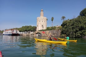 Rutas Guiadas En Kayak 