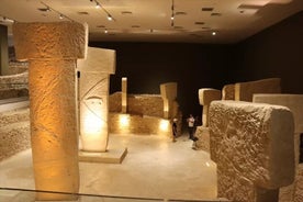 1 Night and 2 Days Private Gobeklitepe Tour from Istanbul