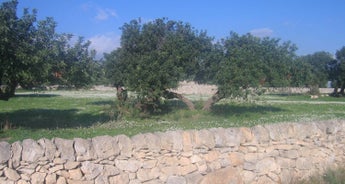 Self-Guided Cycling through Baroque Sicily