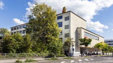 Natural History Museum of Bern