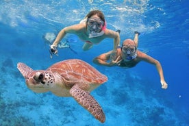 Excursion en bateau d'une journée complète avec pêche et snorkeling, déjeuner et boissons compris