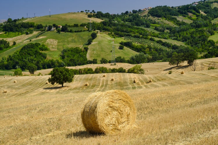 Photo of Rural landscape along the road from Sant'Egidio alla Vibrata to Civitella del Tronto (Abruzzi, Italy) at summer.