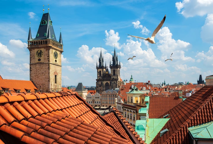 Photo of gulls over Prague chimes and Tynsky cathedral at summer day, Czech Republic.