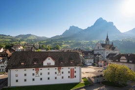 Schwyz: Museum-Ticket Forum of Swiss History Schwyz