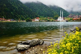 Excursão privada de dia inteiro a Uzungöl saindo de Trabzon