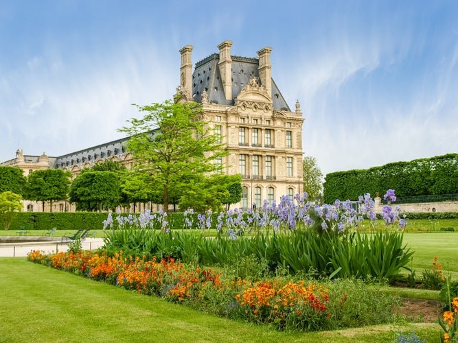 Flower bed with flowering irises in the Tuileries Garden in Paris in springtime.jpg