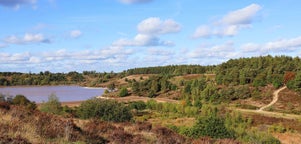 Bestu pakkaferðir til Maasmechelen, Belgíu