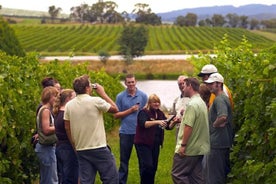 Une journée complète à San Gimignano Winery de Toscane