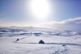 Tour in quad ATV di 1 ora da Reykjavik