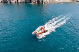 Privat båttur till Capri Från Sorrento på GOZZO 38ft HARD TOP