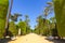 photo of Cadiz Garden, Genoves park situated on seaside of Cadiz, Andalusia, Spain.