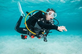 Experiencia de buceo en Madeira