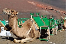 Tour naar Timanfaya, La Geria en La Laguna Verde