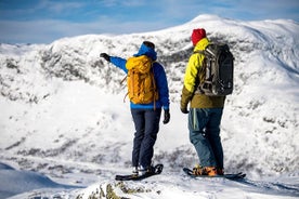 Jotunheimenでの1日スノーコーチとスノーシューアドベンチャー