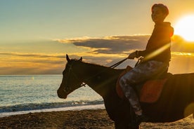 ビーチと森の中を2時間アンタルヤで乗馬