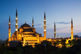 Ganztägige private Tour durch Istanbul über osmanische Relikte