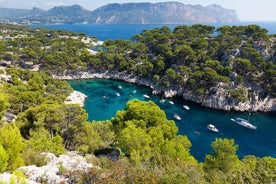 Viaje de medio día a Cassis desde Aix-en-Provence.