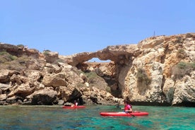4-hour East Cape Greko Private Guided Kayak Tour