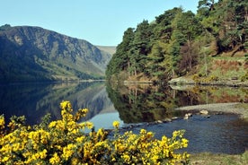 Dublin to Powerscourt, Wicklow, Guinness Lake, Glendalough Tours