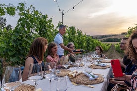 Gourmet Dinner among the Brunello Vineyards in Montalcino