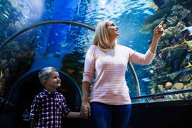 Antalya: Aquarium and Wax Museum Entry Ticket