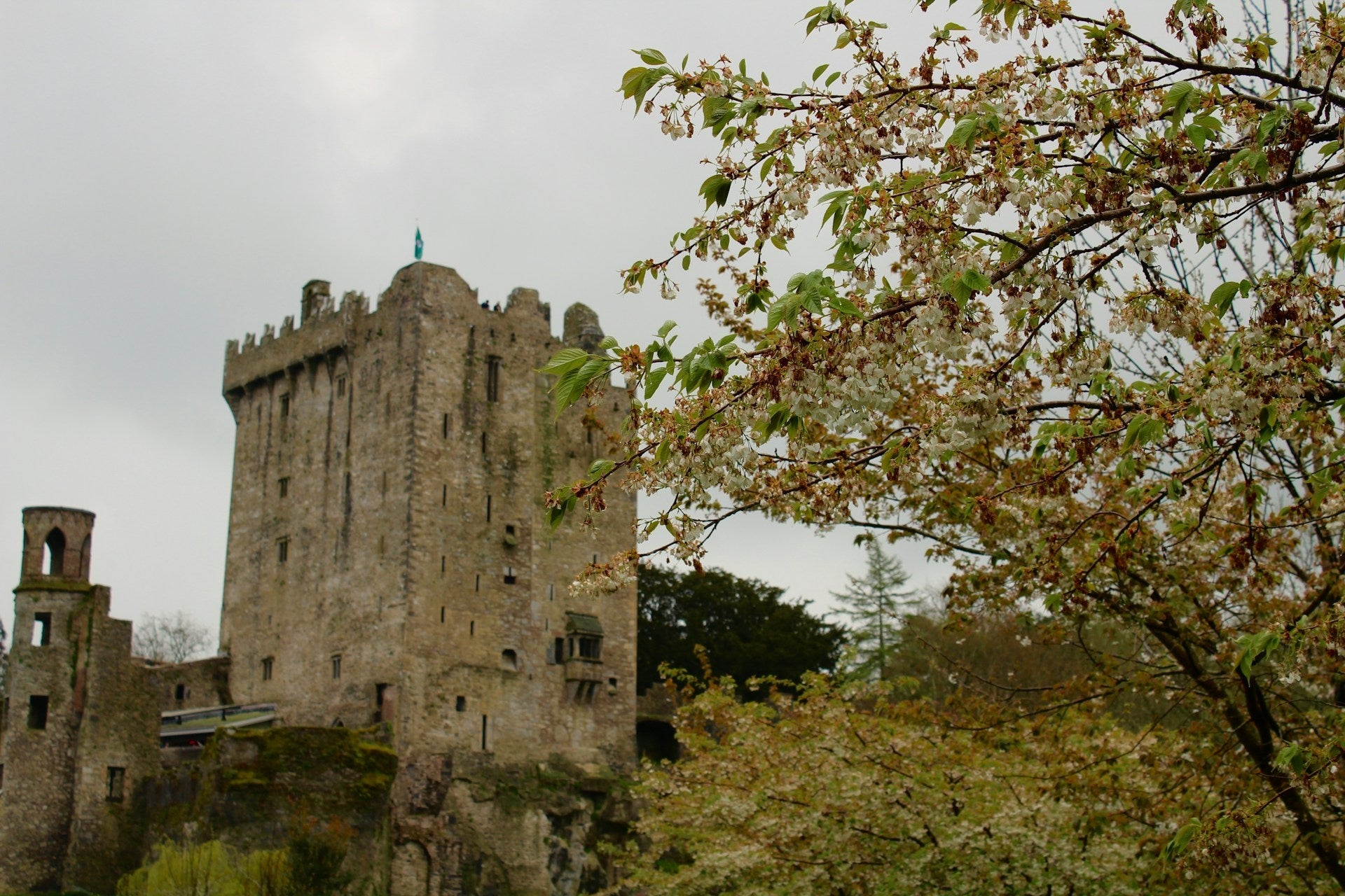 dublin-in-december-12.jpg