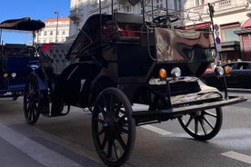 Vienna: 60 min. Royal E-Carriage Sightseeing Tour with Drinks