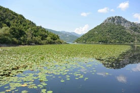 Skadarvatn dagferð frá Herceg Novi