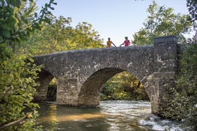 Tour en bicicleta por el río vipava