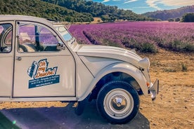 Exceptional excursion in 2cv in the Luberon