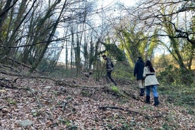 3 Hours Truffle Hunting with Pasta Cooking Class and Lunch