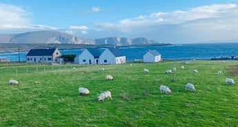 7-Day Cycling Tour on the Wild Atlantic Way From Galway to Newport