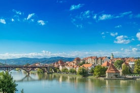 Discover the land of green gold - Private tour from Ljubljana