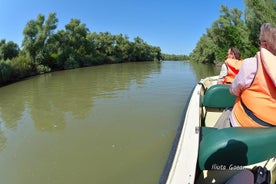 Delta do Danúbio Viagem privativa de barco até a Vila Mila23 (visita guiada)