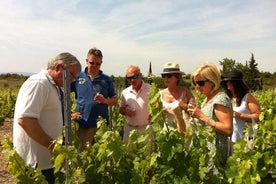 Excursion viticole privée d'une journée au départ de Carcassonne et des environs.