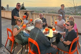 Tour eno-gastronomico di Verona con delizioso pranzo; accesso prioritario alla funicolare di verona per ammirare la città dall alto.
Durante il pomeriggio invece il tour finirà con un grandioso aperitivo rinforzato su terrazza panoramica da dove ammirare la città scaligera 