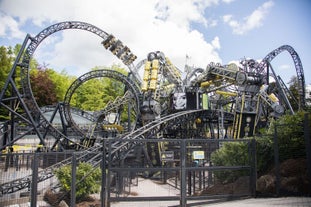 The Smiler