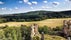 Castle ruins Zvířetice, Zvířetice, Bakov nad Jizerou, okres Mladá Boleslav, Central Bohemia, Czechia