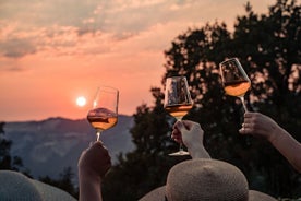 Cata de vinos al atardecer en viñedo.