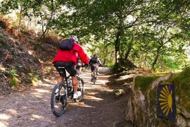 Pedala lungo la via costiera portoghese fino a Santiago - Visita guidata - dal 4 all'11 luglio