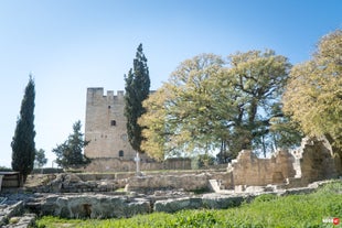 Kolossi Castle