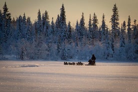 Aurora Borealis Dogsled Tour