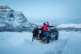 プレミアム 4×4 車でのプライベート フィヨルド ツアー