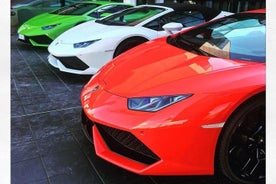 Antagonist Motors: Lamborghini, Ferrari, PaganiFactory, Lunch, Private transport