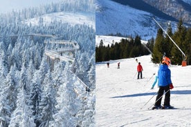 From Kraków: Slovakia Treetop Walk & 4-Hour Ski Pass