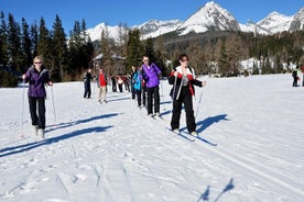 Strbske Pleso 주변의 크로스 컨트리 스키 : High Tatras