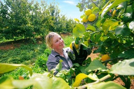 Jugosos secretos de las naranjas del Algarve