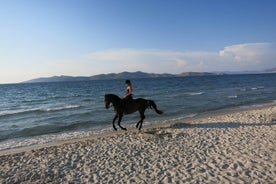 Horse Riding Experience on the Beach with Instructor